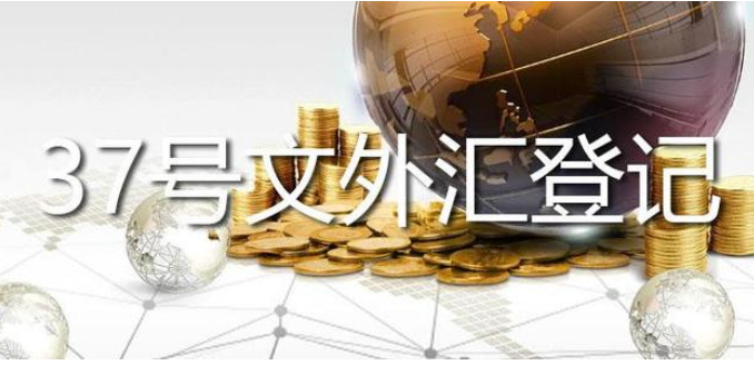 37號文外匯登記